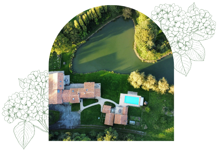 Vue aérienne d'une maison au toit de tuiles rouges, d'une piscine et d'un jardin au bord d'un étang, entourés d'arbres verts. L'image est encadrée de fleurs d'hortensia dessinées sur les côtés.