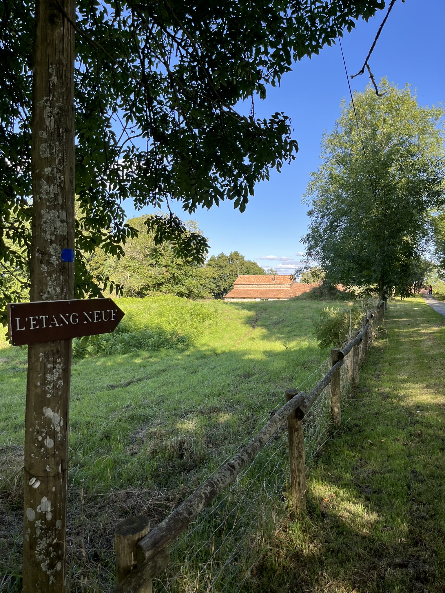 Un panneau en bois portant l'inscription L'ETANG NEUF pointe vers la gauche à partir d'un arbre à côté d'un champ herbeux, avec une clôture grillagée, des arbres et des bâtiments aux toits rouges visibles sous un ciel bleu clair.