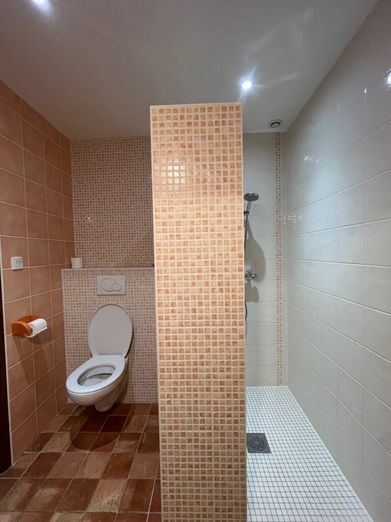 Une salle de bains avec des toilettes sur la gauche, une cloison partielle carrelée au centre et une douche à l'italienne avec une pomme de douche à main sur la droite.